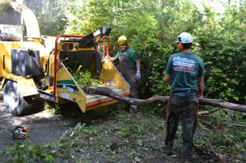 tree services Jonesboro